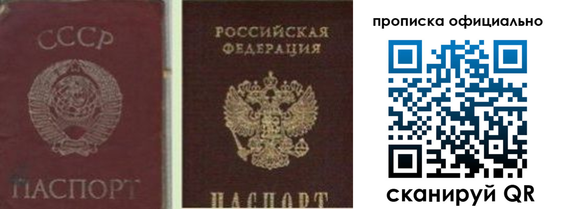 прописка гарантия в Северске